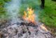 Rischio incendi: prorogato fino al 13 settembre il divieto di abbruciamento