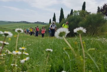 Lauretana Slow: due trekking sulle tracce della battaglia di Montaperti