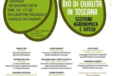 Gaiole: convegno sull’olivicoltura bio di qualità in Toscana