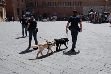 Lite tra cani – e proprietari – a Pian del Lago