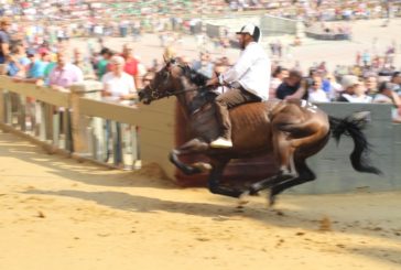 Palio: 76 cavalli alle prove regolamentate, 8 direttamente alla tratta