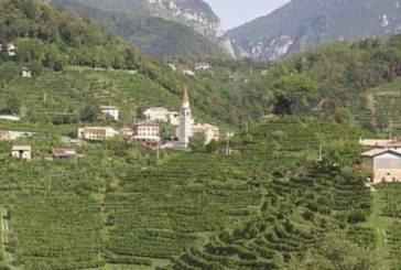 COLLINE PROSECCO NELLA LISTA UNESCO PATRIMONIO DELL'UMANITÀ
