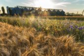 Coldiretti Toscana: “35mila aziende agricole colpite dal taglio della Pac 2028/2034”
