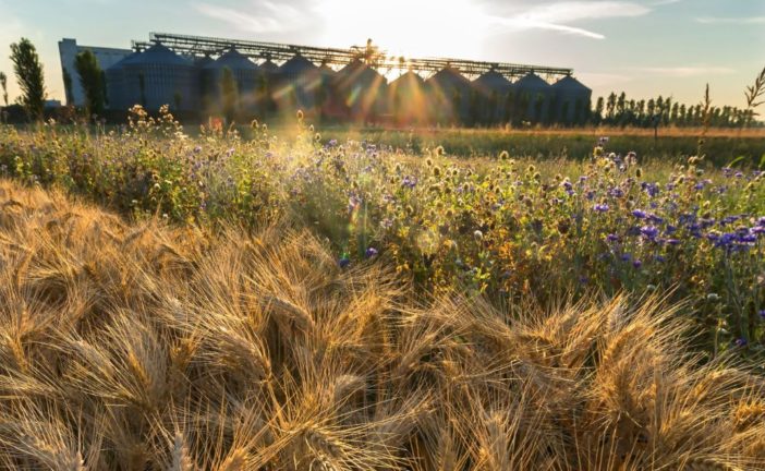 La Festa Nazionale dell’Unità sull’Agricoltura si terrà a Siena