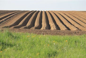 NASCE IL PRIMO HUB TECNOLOGICO PER L'AGRICOLTURA ITALIANA