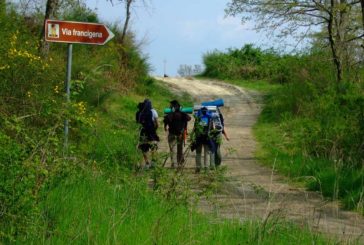 Manetti: “Via Francigena: la scelta del Governo ignora i territori”