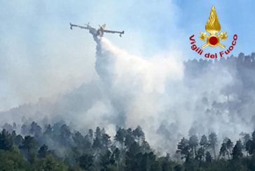 Ancora un incendio a Cerreto a Merse