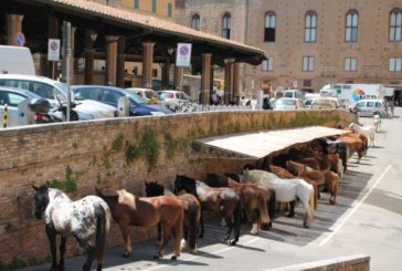 Una giornata particolare (Fotogallery)