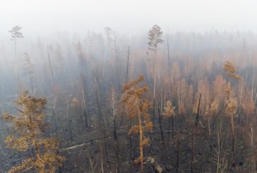 INCENDI IN SIBERIA, GREENPEACE LANCIA L'ALLARME CLIMA
