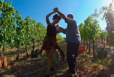 Cantine Aperte in Vendemmia: a Siena protagonisti i piccoli vendemmiatori
