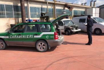 Lavoro nero e sicurezza: i Carabinieri Forestali impegnati a Montepulciano