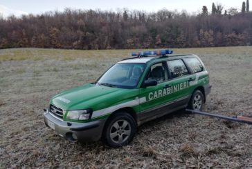 I Carabinieri Forestali sequestrano un collare elettrico