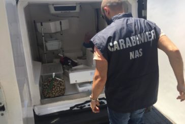 Nas in un albergo a Chianciano: sequestrati alimenti in tracciati