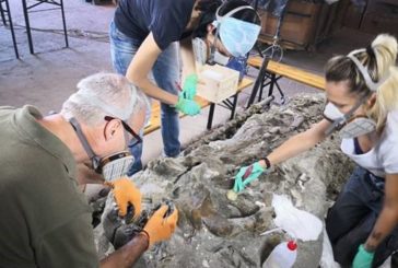 Montalcino contro la caccia alla balena