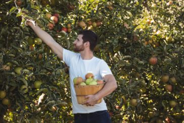 Torrita Biodiversità – Festa dell’Agri Cultura: al via la manifestazione