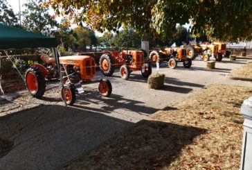 Al via l’edizione 2019 de “La Fattoria in Fortezza”