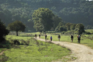 Poggibonsi negli itinerari francigeni