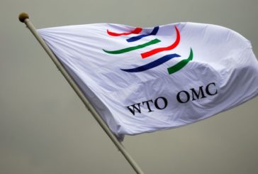 DAL WTO VIA LIBERA AI DAZI USA
