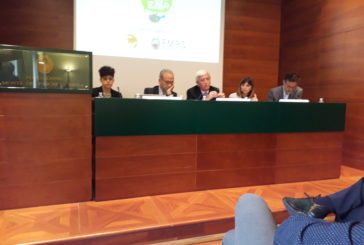 “Per fare un albero”…  mette radici