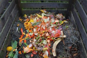 DA ACEA I MINI IMPIANTI DI COMPOSTAGGIO DIFFUSO PER I RIFIUTI ORGANICI