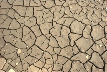 COLDIRETTI, AL SUD E' ALLARME SICCITA'