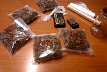 La Polizia sequestra a Siena mezzo chilo di marijuana