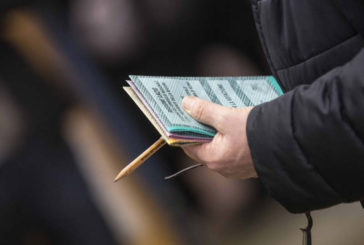 GOVERNO, PER IL 50% DEGLI ITALIANI BISOGNEREBBE TORNARE AL VOTO
