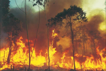 Ai Fisiocritici una conferenza sull’Amazzonia