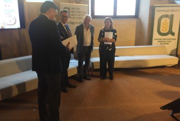 Cenni (Pd): “Sulla nuova PAC l’Europa riveda dotazione finanziaria e osi di piu”