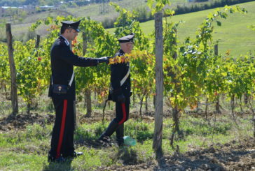 Lavoratori in nero in un’azienda a Murlo. Denunciate due persone