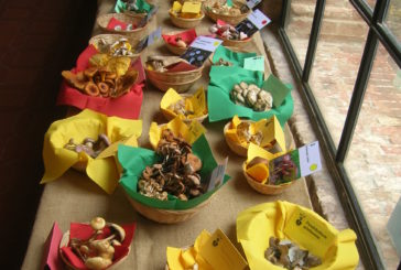 Funghi in mostra: dal bosco all’Accademia per una conferenza