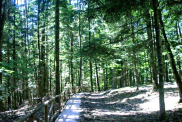 Approvata la graduatoria del bando Custodi della Montagna 2023