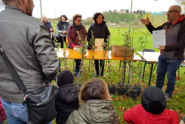 Ad Isola d’Arbia la cerimonia di “Un albero per ogni nato”