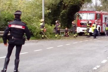 Albero cade e colpisce un’auto ai Due ponti