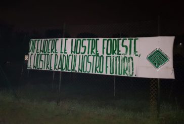 CasaPound celebra la festa dell’albero