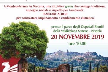 Alberi, non parole: il Nobile di Montepulciano a sostegno dell’ambiente