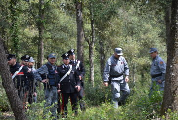 Cercano funghi e si perdono nei boschi di Monticiano: ritrovati dalla macchina dei soccorsi