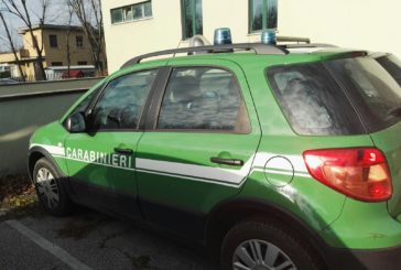 I Carabinieri Foorestali sequestrano un immobile abusivo a Monticiano