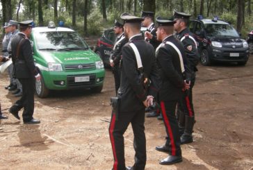 Incontra un lupo nel bosco e chiama i Carabinieri