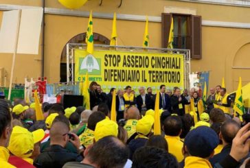 Cinghiali, 10mila incidenti stradali all’anno, 13 mortali 