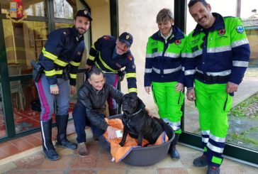 Cane scappa sull’Autopalio: la Polizia lo salva