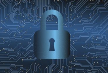 OPERAZIONE CONTRO IL CYBER-RICICLAGGIO, IDENTIFICATI 170 "MONEY MULES"