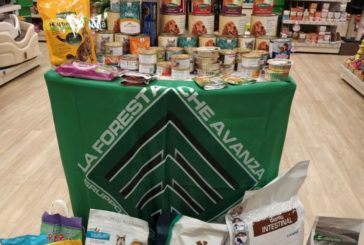 Consiglieri di Sovicille contro la raccolta di cibo per gli animali abbandonati