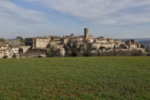 Colle Val d’Elsa: intervento in viale dei Mille