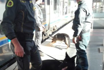 Fiamme Gialle: controlli antidroga con le unità cinofile