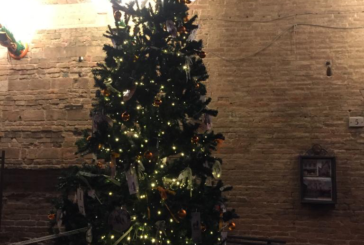 Contrade: il miglior albero di Natale è della Selva