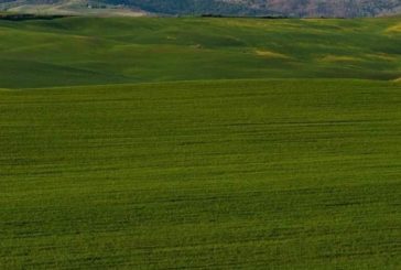 “Geotermia: intervento sconcertante di Franceschelli”