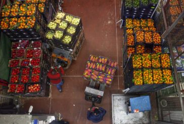 A NOVEMBRE VENDITE AL DETTAGLIO IN AUMENTO SU BASE ANNUA