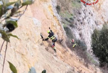 I Vigili del Fuoco salvano un cane caduto in un dirupo