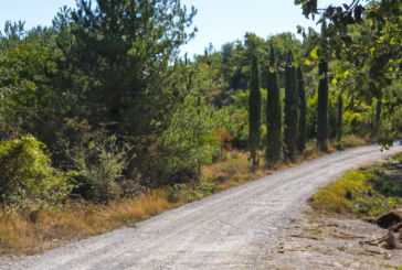 Monteriggioni investe sulla Via Romea Sanese